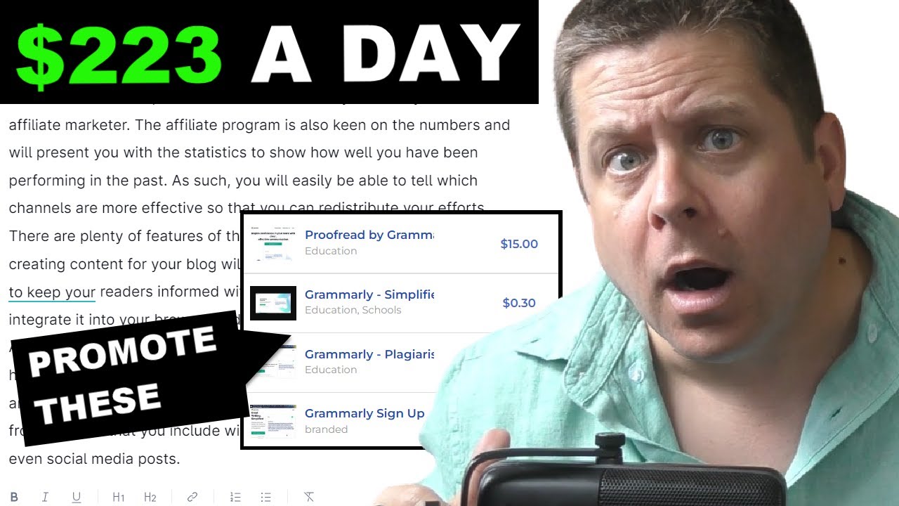 $2,723 A Day Finding Grammar Mistakes Online?